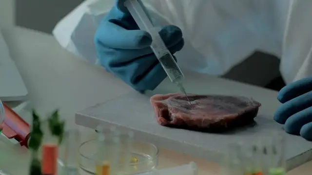A person in blue gloves and a white coat injects a steak with a syringe on a laboratory table