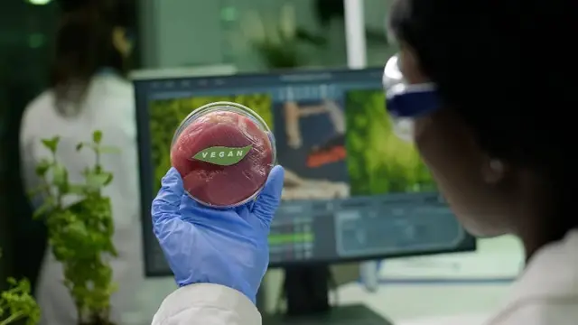 Researcher in protective glasses and a blue glove holds a Petri dish of meat labeled "vegan" in front of a screen in a laboratory