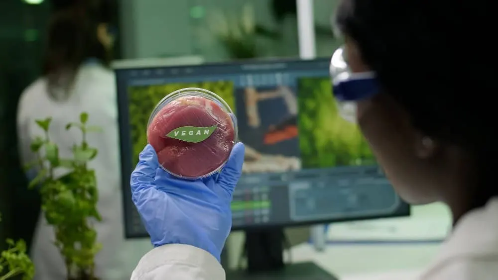 Researcher in protective glasses and a blue glove holds a Petri dish of meat labeled "vegan" in front of a screen in a laboratory