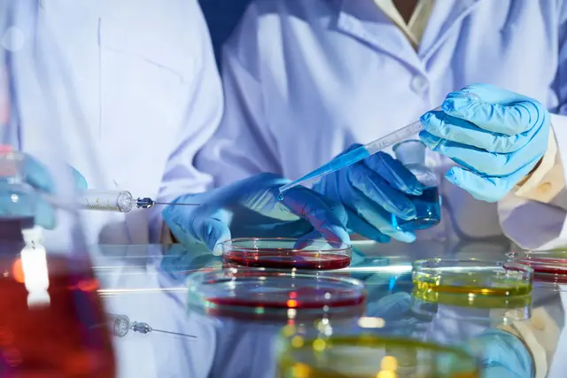 Gloved hands in a white lab coat hold a pipette over Petri dishes filled with red and yellow liquids in a laboratory